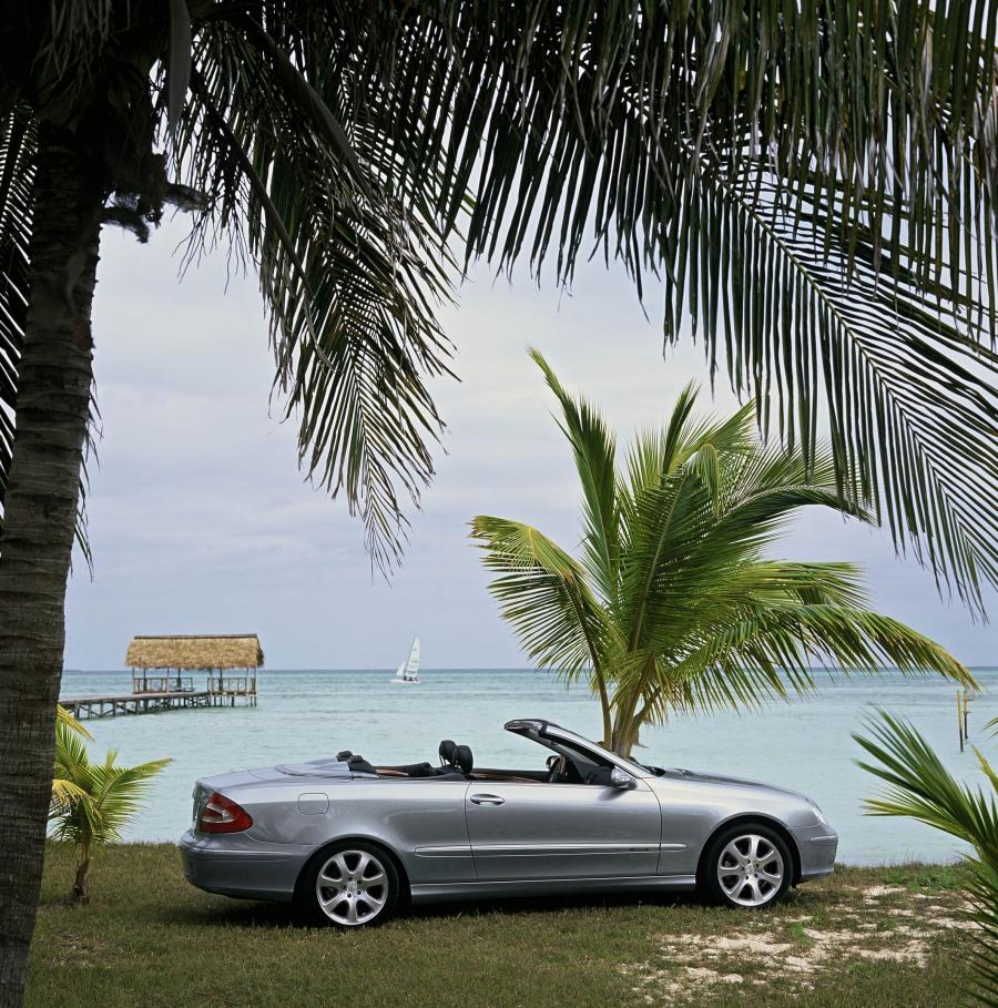  Mercedes-Benz CLK-Class Cabriolet 2004 года  (фото 131 из 164)